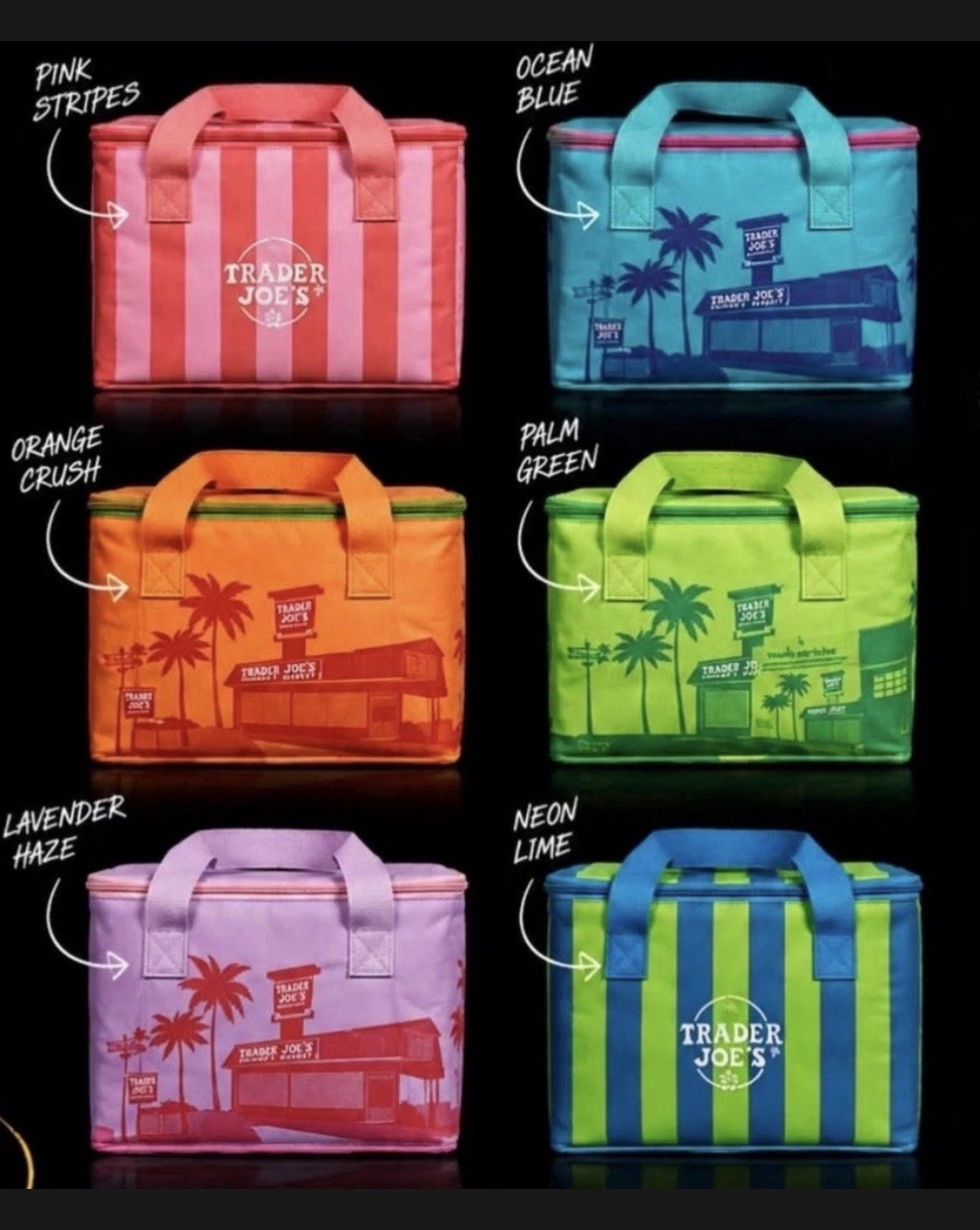 Trader Joes mini insulated bags New Summer Colors 6 Pack!