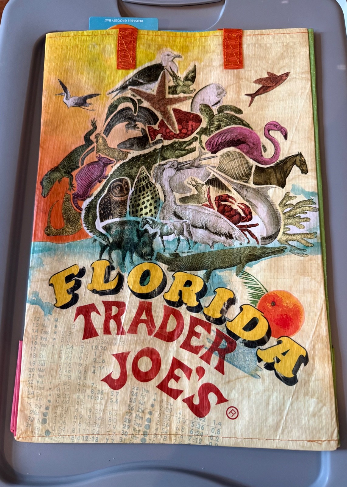 NWT Trader Joe’s Eco Reusable Grocery Shopping Tote Bag—Multiple Choices