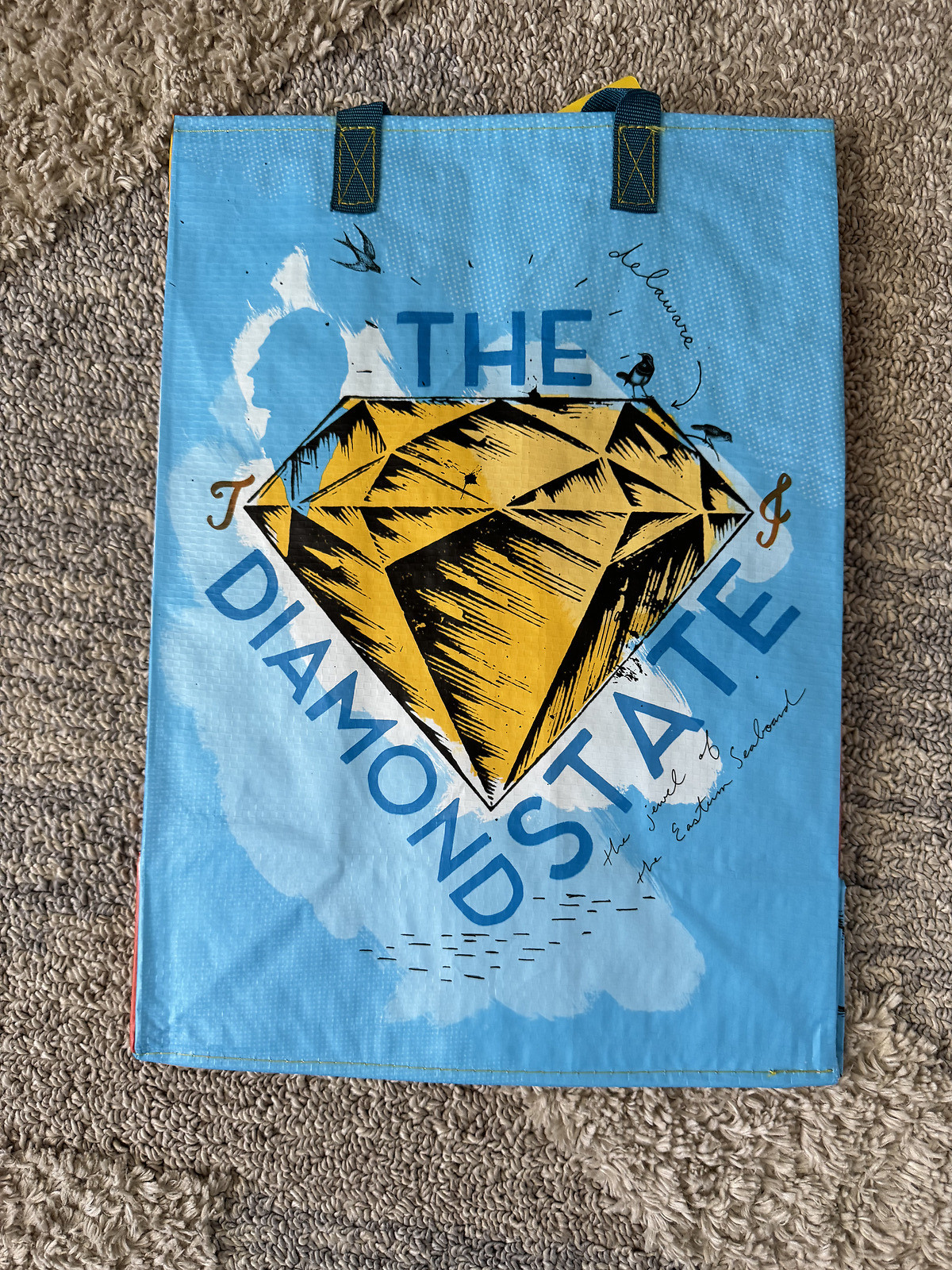 Trader Joe’s Mystery Bag 2024 Pick Your Bag-NEW never used.