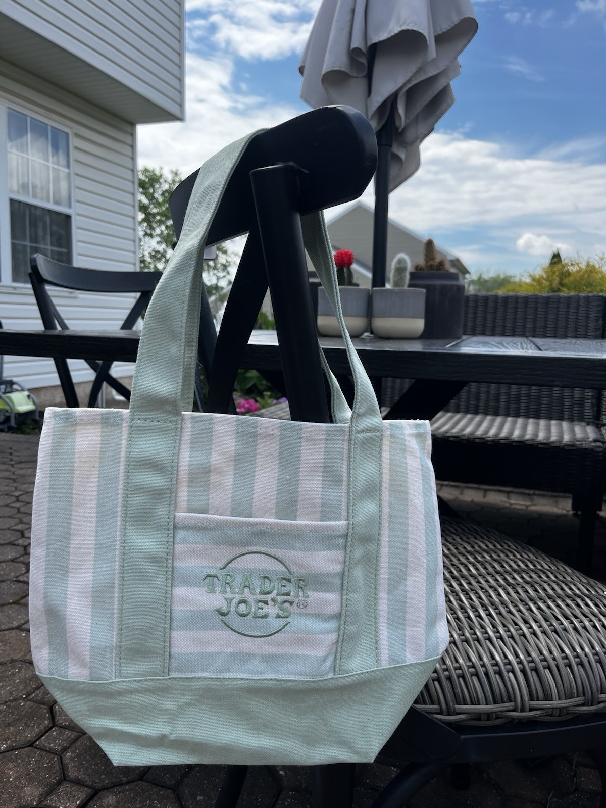 NWT 2026 Trader Joe’s Sea Foam Green/White Striped Mini Canvas Tote Bag 13x11x6