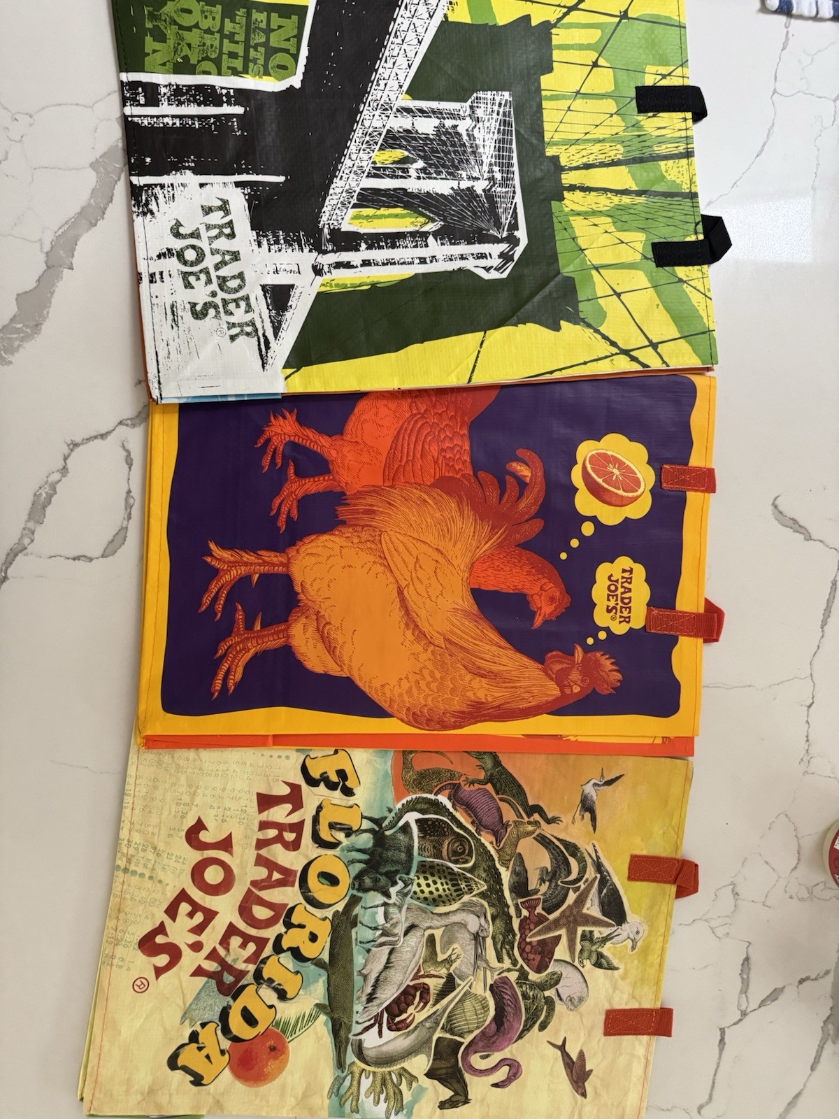 Trader Joe’s Mystery Pack Bags. New York, Florida, And Orange Chicken