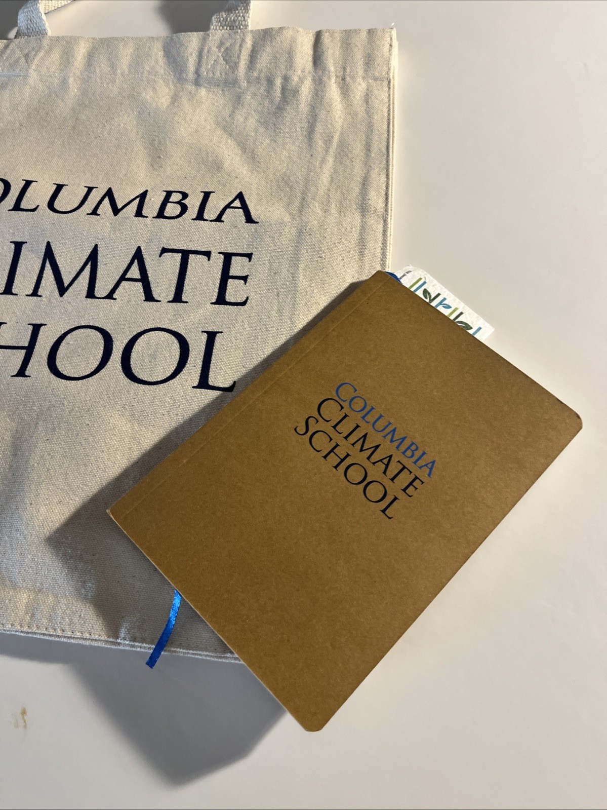 ✅NEW Columbia Climate School Canvas Swag Bone Tote Shopping Books Bag + BONUS📙