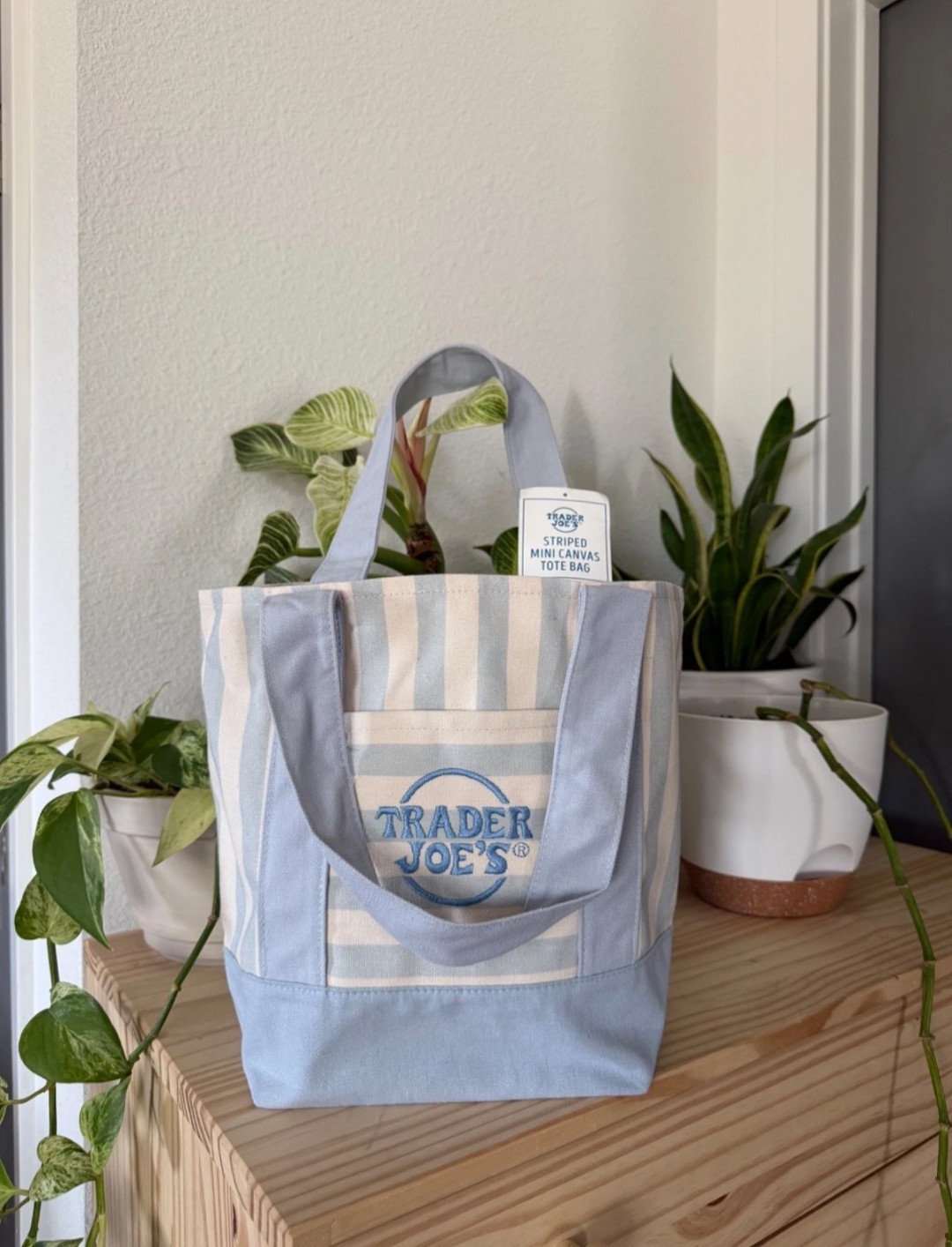 Trader Joe’s Striped Mini Canvas Tote Bag, Blue/White, Cotton/Polyester