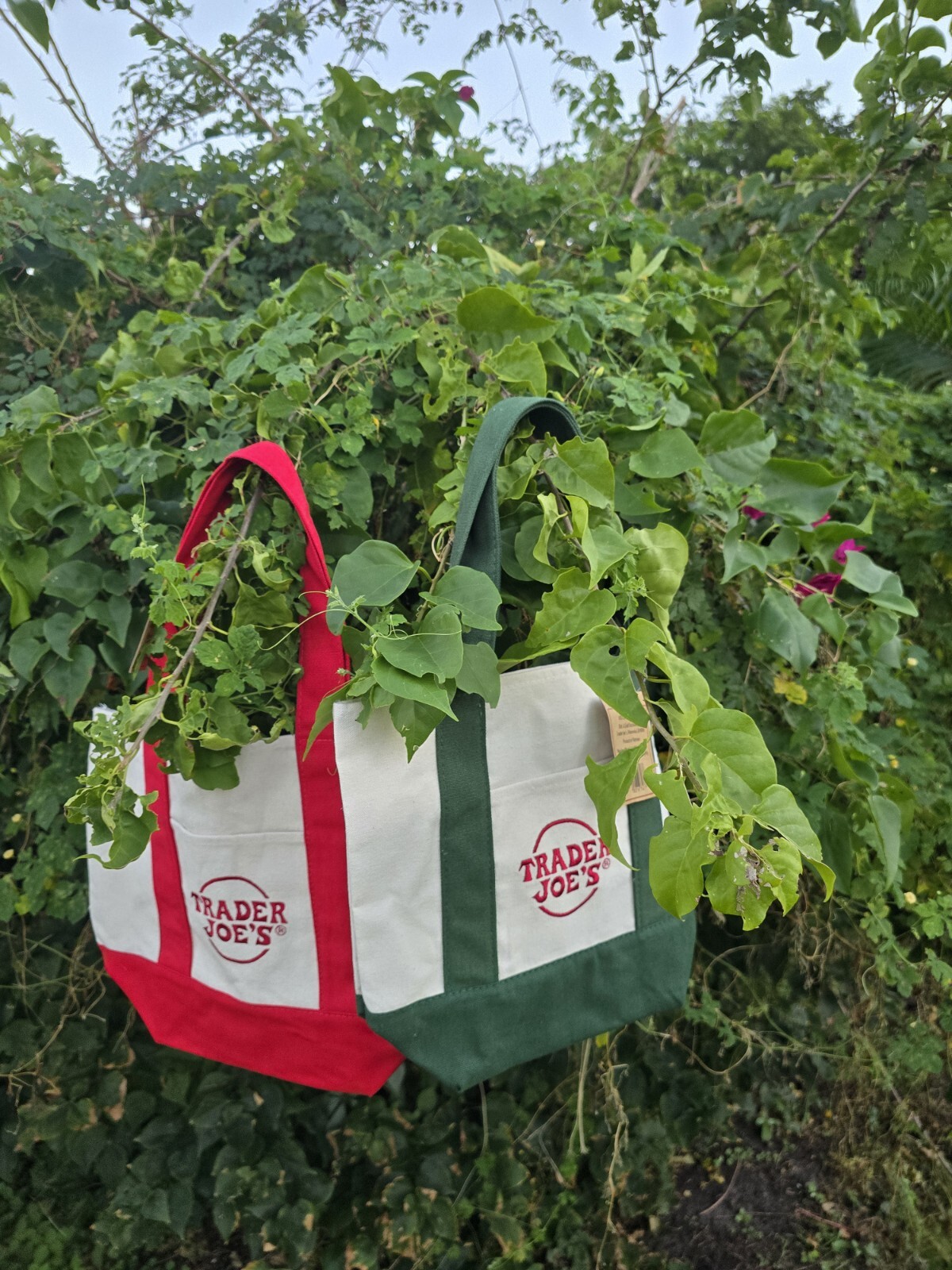 Trader Joe’s Mini Totes RED OR GREEN Available (See Pictures) Sold Out In Stores