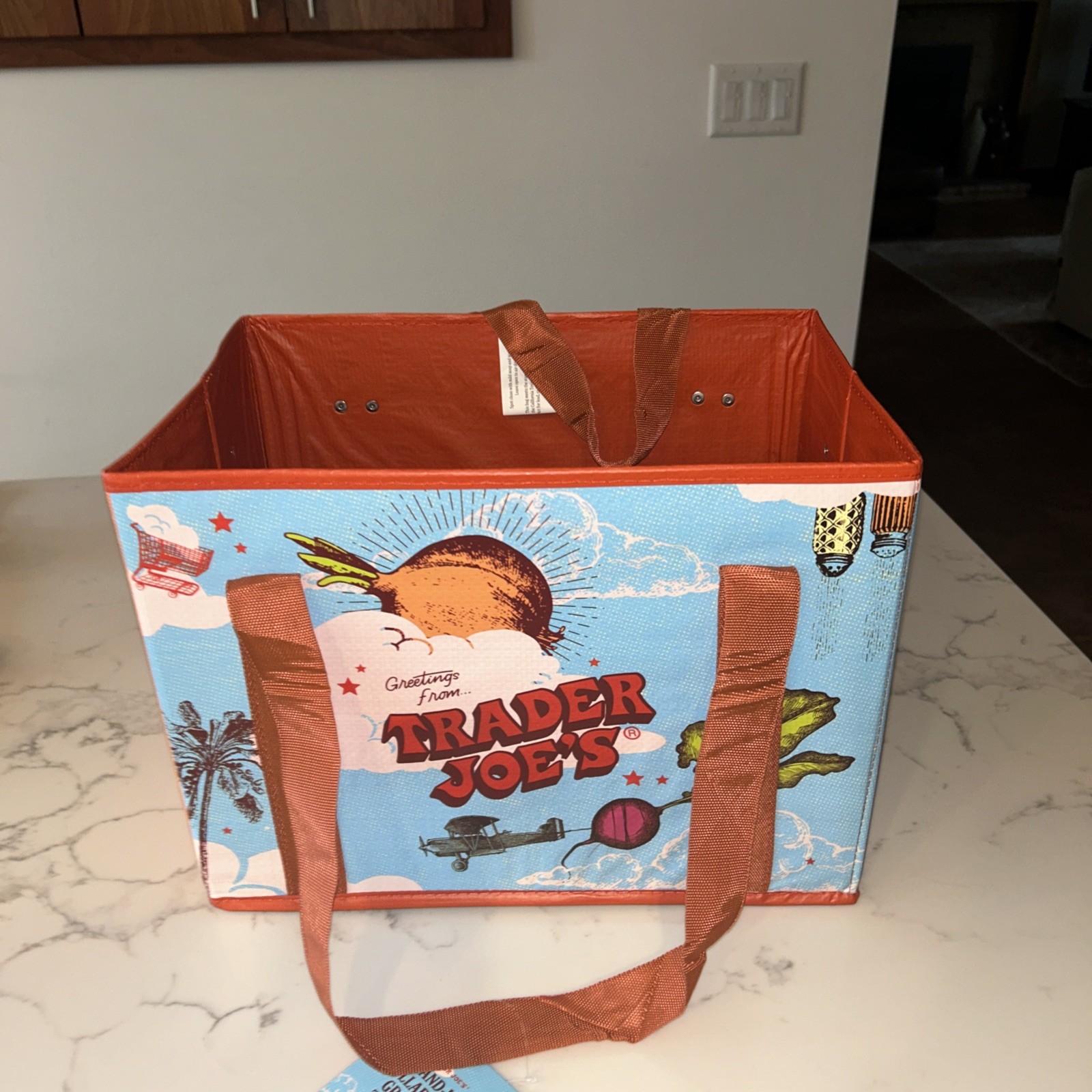 Brand New Trader Joe’s Stand-Up Collapsible Tote Bag Moon & Sky Holds 6 Gallons