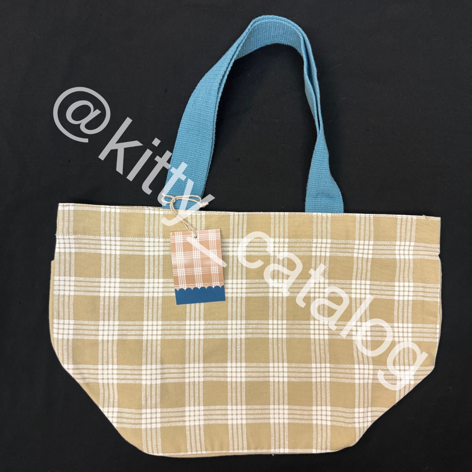 Foodland Hawaiʻi: Palaka Dumpling Mini Canvas Tote Bag, Hawaii Exusive