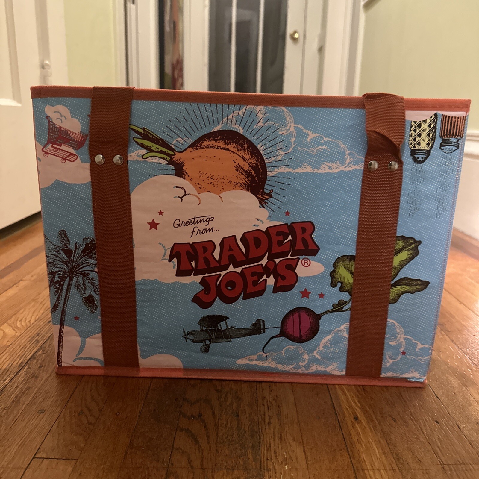 Trader Joe’s Stand-Up Collapsible Grocery Tote Bag Limited 6 Gal Limited Edition