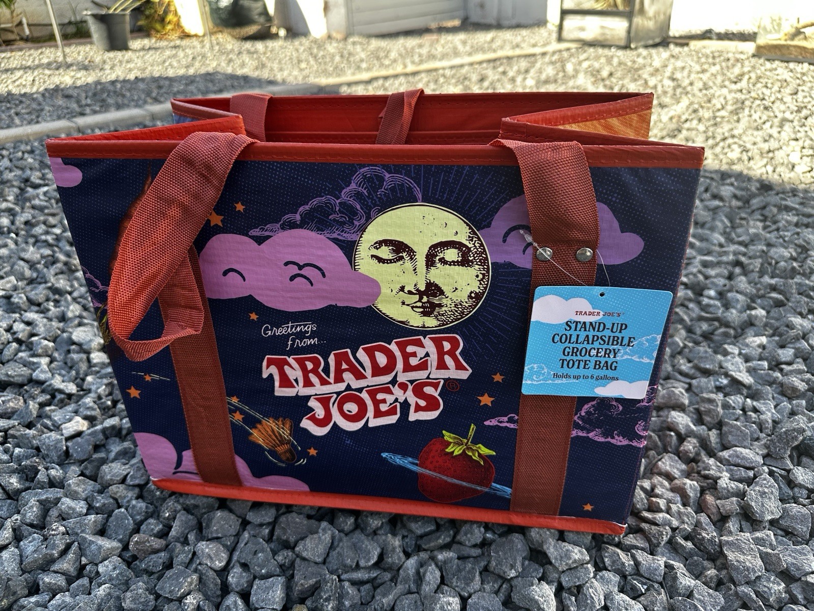 Trader Joe’s Stand Up Collapsible Reusable Grocery Tote Shopping Bag