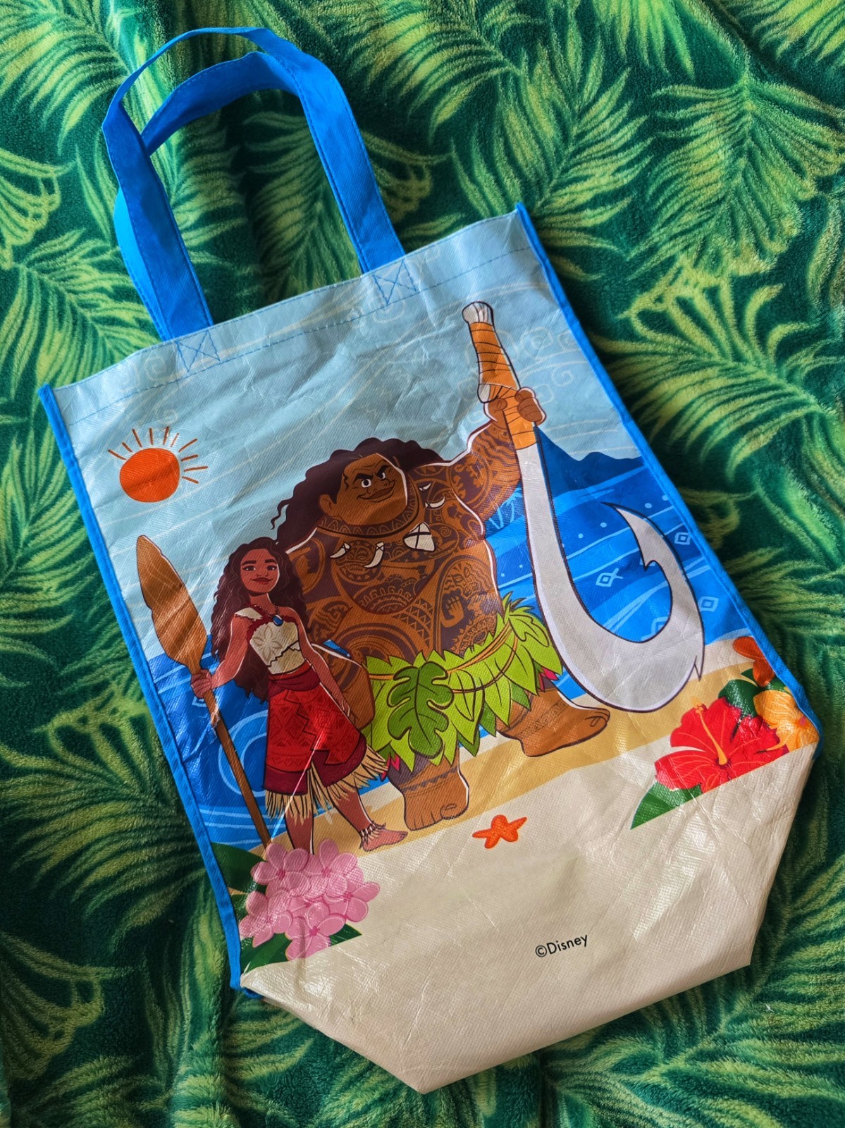 Vintage Movie Moana 2 Collections – Favorite Reusable Tote Shopping Gift Bag