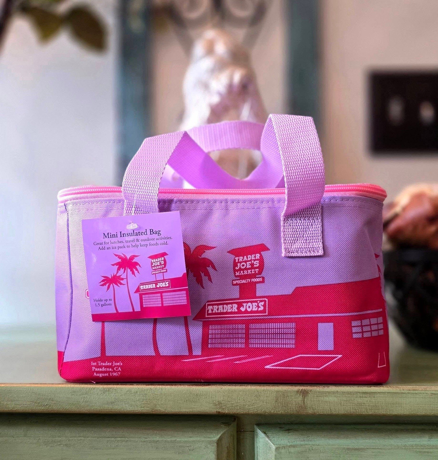 Trader Joe’s 2026 “Summer Fun” Mini Insulated Tote Bags Set of 6 NWT Authentic