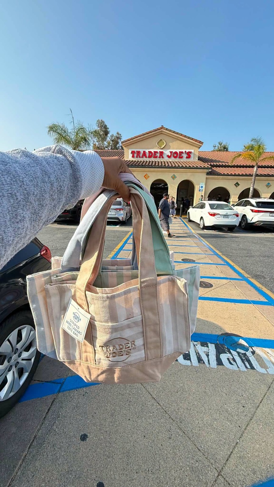 Trader Joe’s Mini Pastel Stripe Canvas Tote Bag Limited Edition Set Of 4