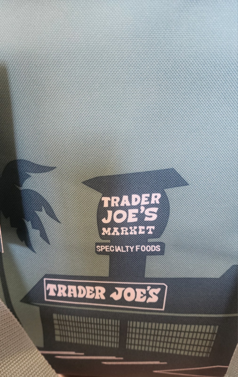 Trader Joe’s Large Insulated Shopping Bag 8 Gallon Dusted Blue/Green Reusable