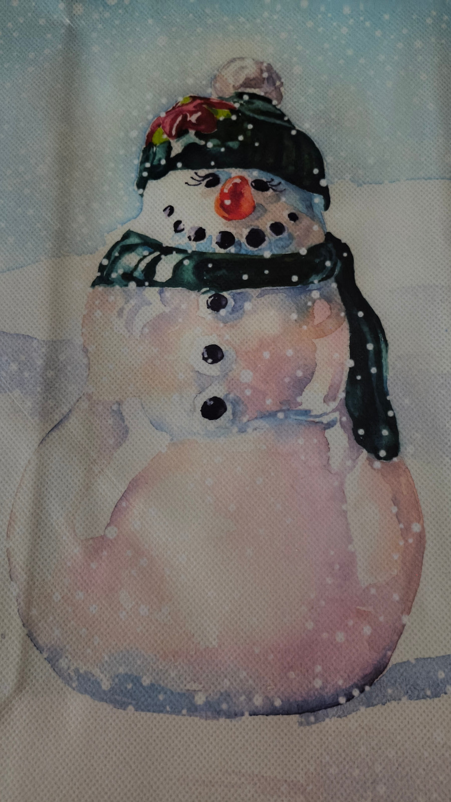 LAMINATED PUBLIX LARGE TOTE SHOPPER BAG HOLIDAY SNOWFOLK Snowman Red Blue NEW