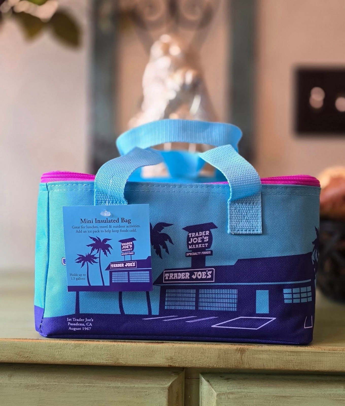 Trader Joe’s 2026 “Summer Fun” Mini Insulated Tote Bags Set of 6 NWT Authentic