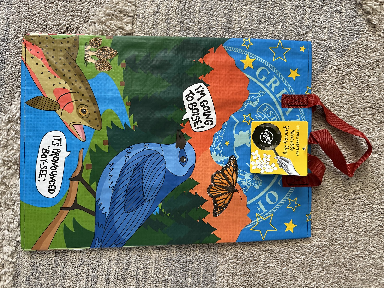 Trader Joe’s Mystery Bag 2024 Pick Your Bag-NEW never used.