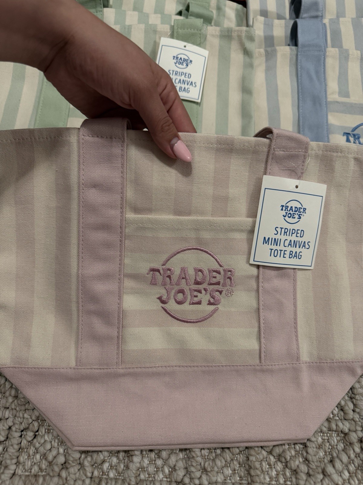 Trader Joe’s Striped Mini Canvas Tote, Collapsible Stand-Up, Multicolor 6 Gal