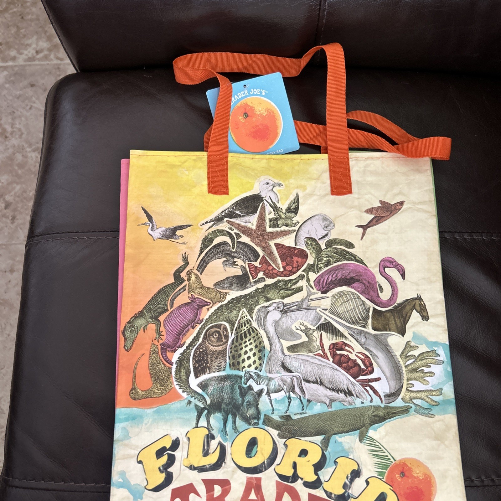 New Trader Joe’s Reusable Grocery Bag, Florida Theme, 6 Gallons Capacity