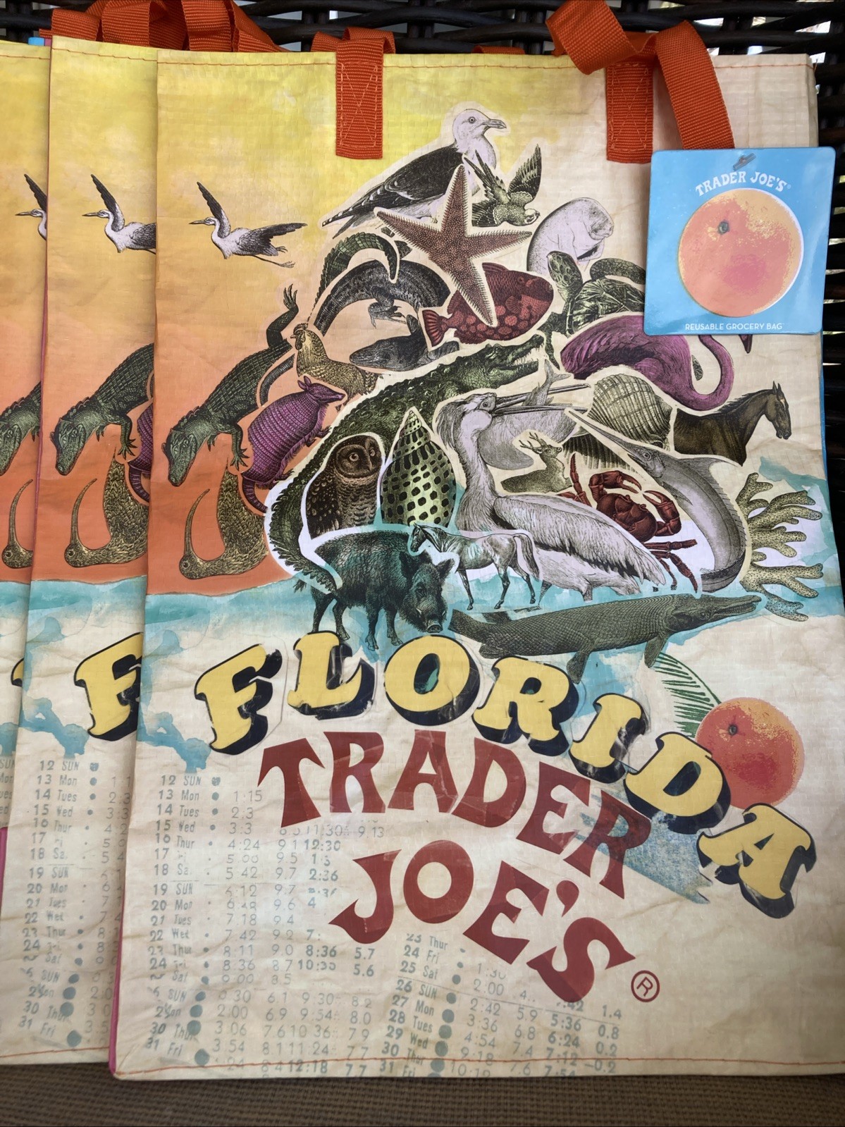 Trader Joe’s State Bag FLORIDA Reusable Travel Shopping Tote Bag * FREE SHIP!