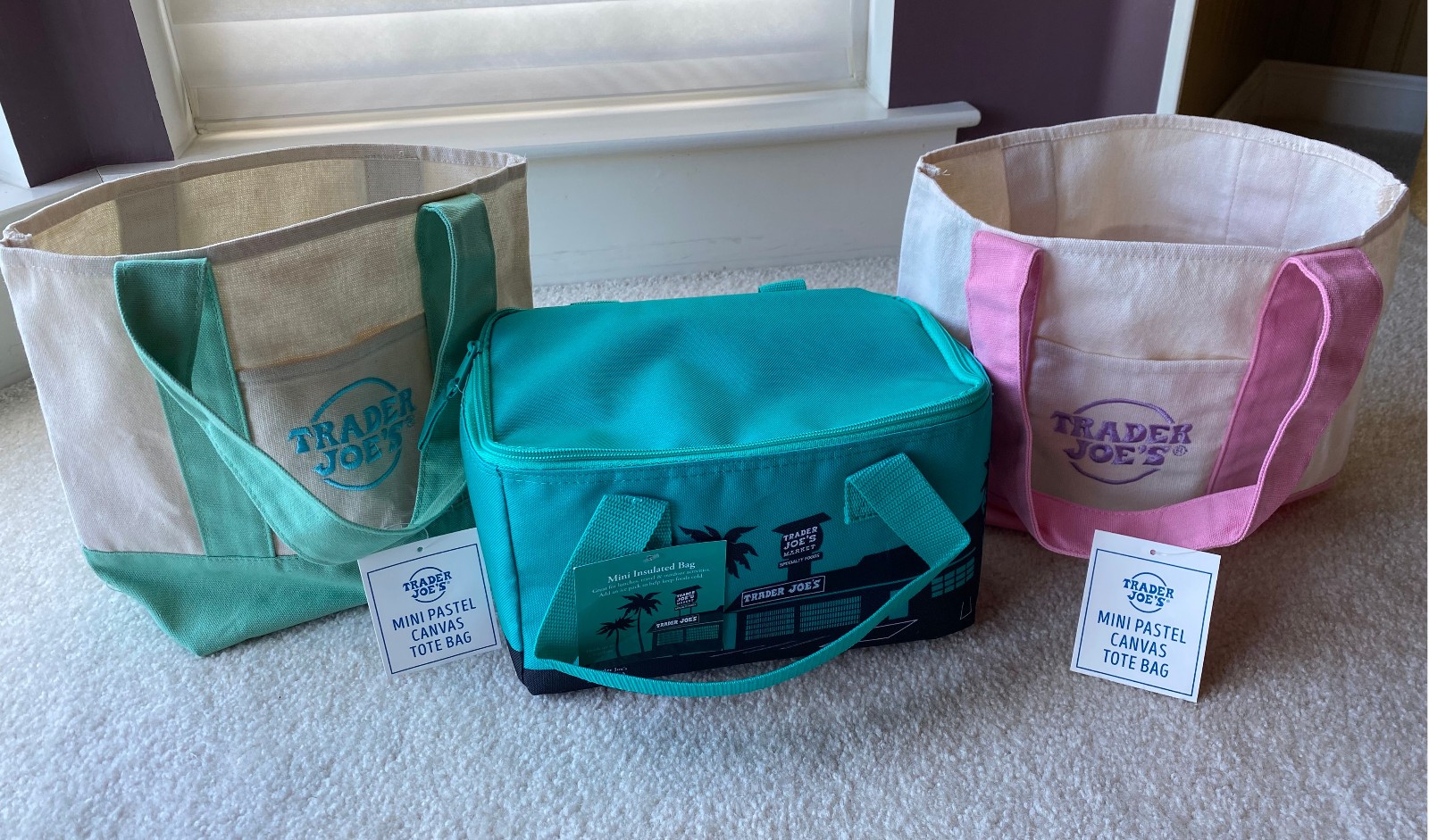 Trader Joe’s Pastel Canvas Totes (2) & Insulated Bag (1) – 3 bags total.