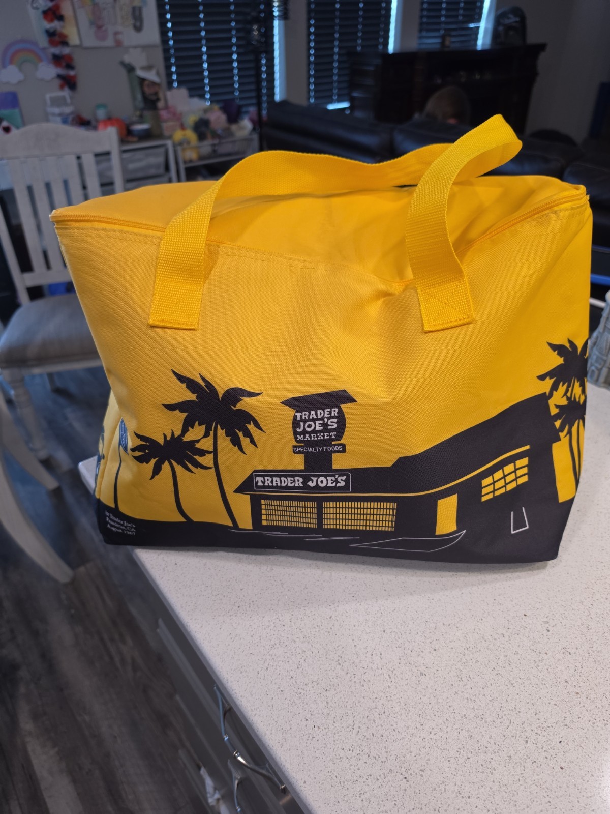 Trader Joe’s 8 Gallons Reusable Bag Cooler Large Insulated Tote/ Collapsable