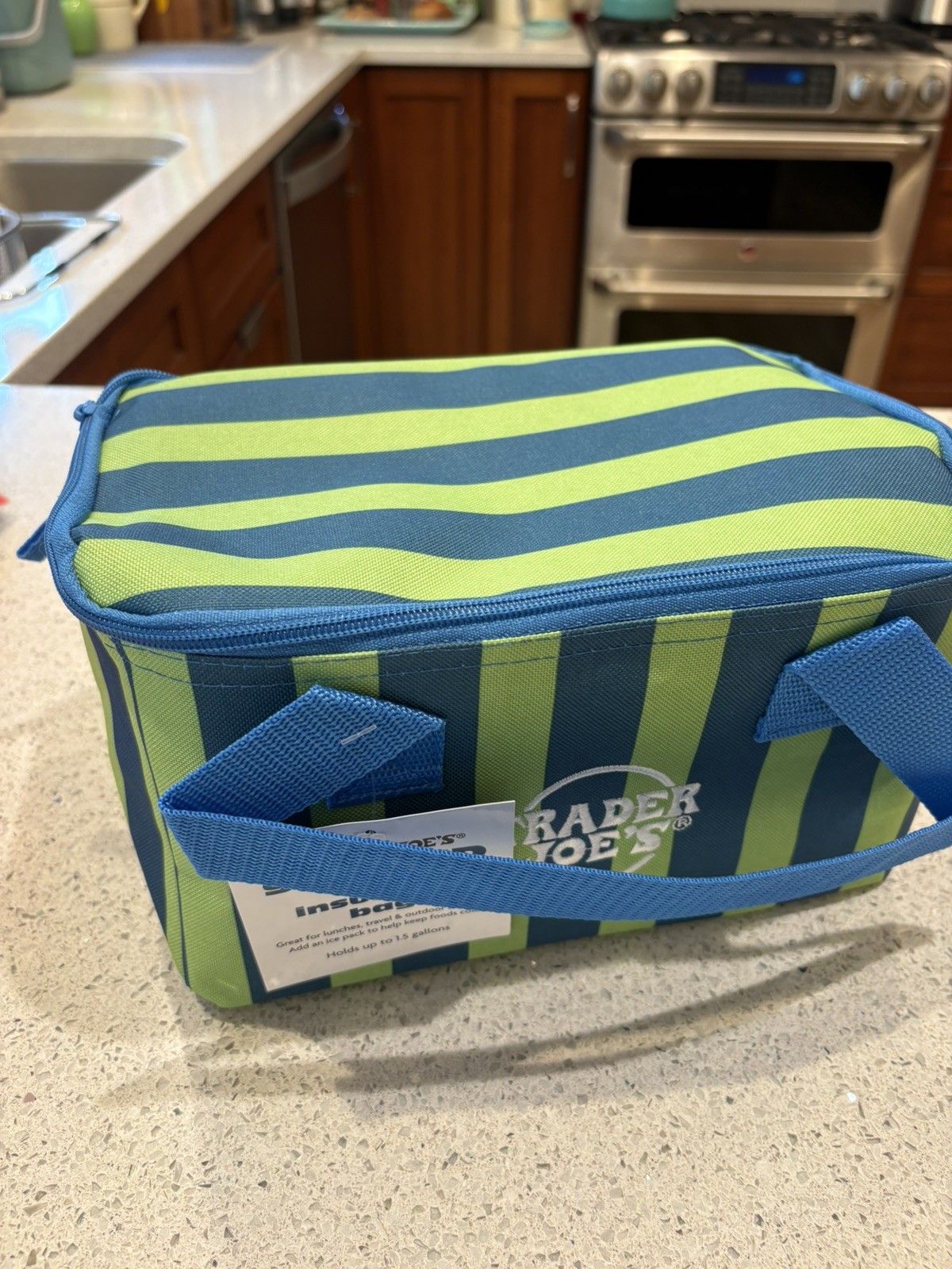 NEW! And CLASSIC! Trader Joes Mini Insulated Bag! Limited Edition!