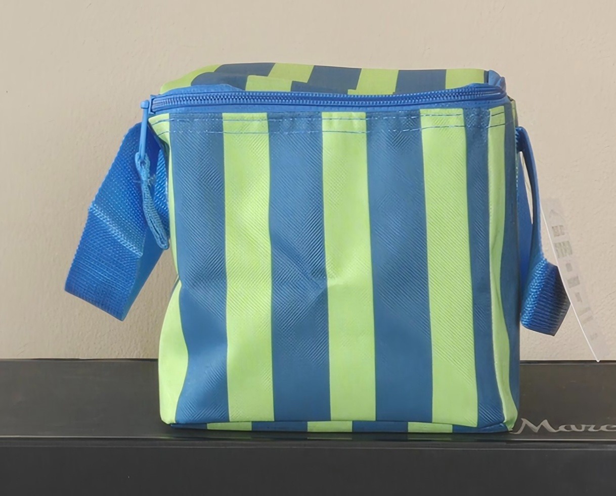 Trader Joe’s 2026 Mini Insulated Tote Blue Green Stripe NEW Limited Edition