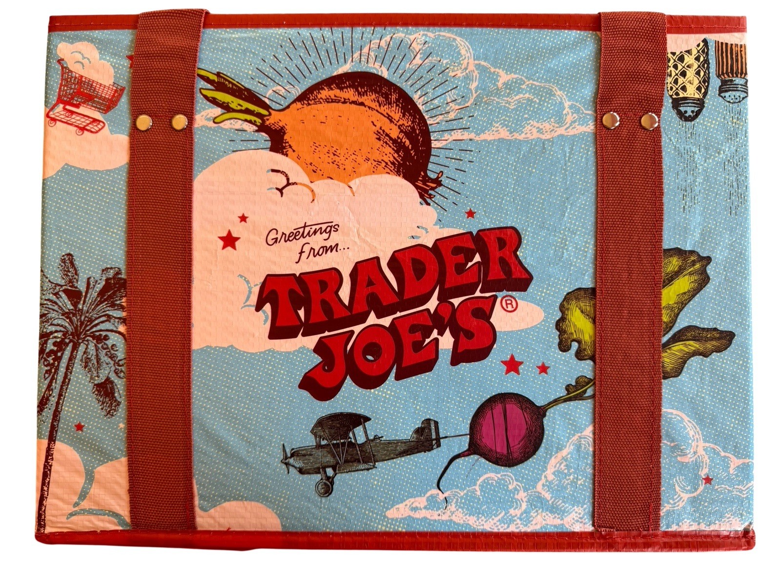 TRADER JOE’S Stand-Up Collapsible Grocery Tote Bag Limited Moon Sky BNWT