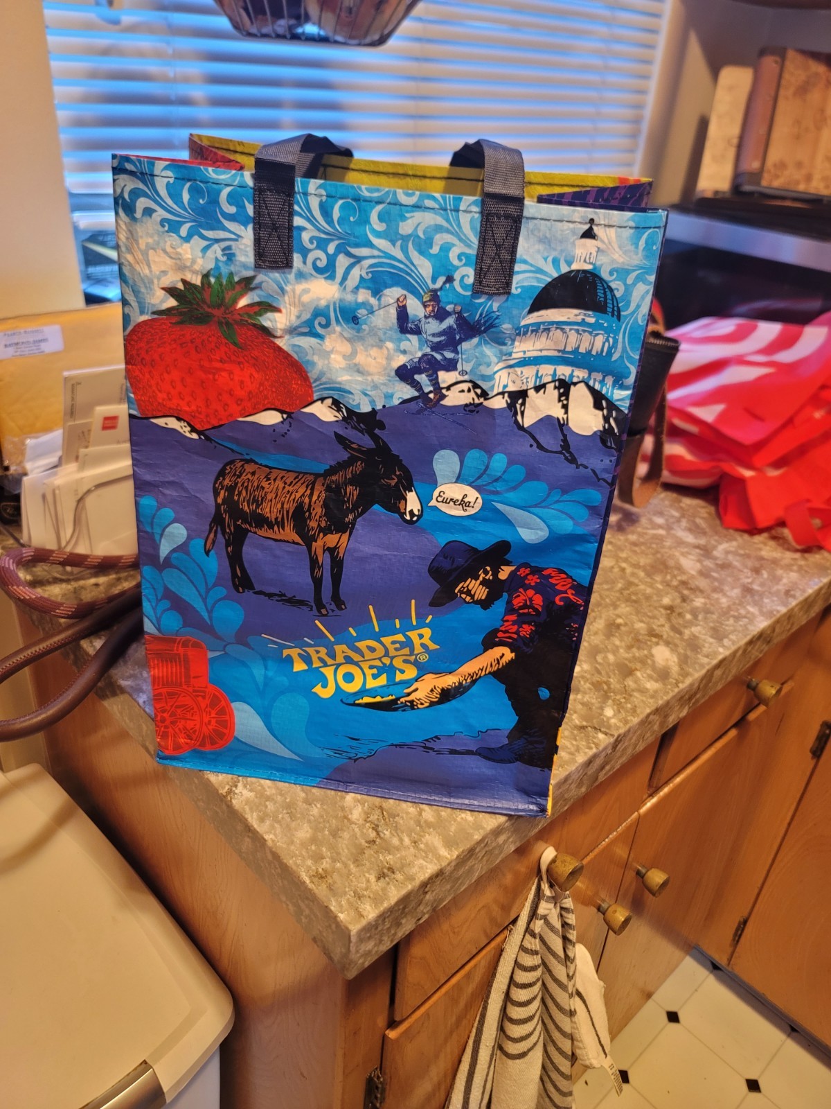 New Trader Joe’s Stand Up Collapsible Reusable Grocery Tote Shopping Bag