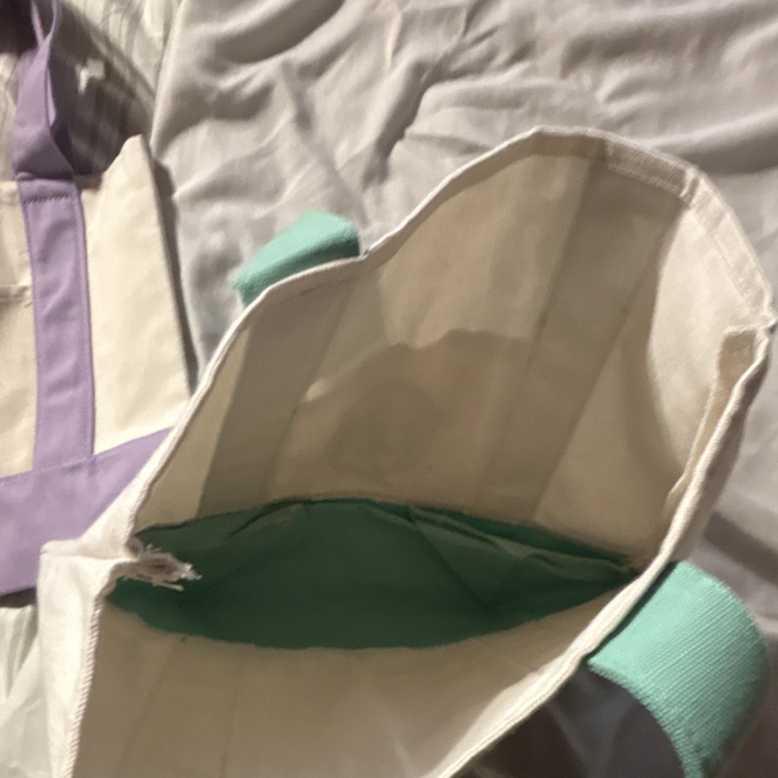 Trader Joe’s Canvas Foldable Tote Bags, Purple & Green, Small, Set of 2