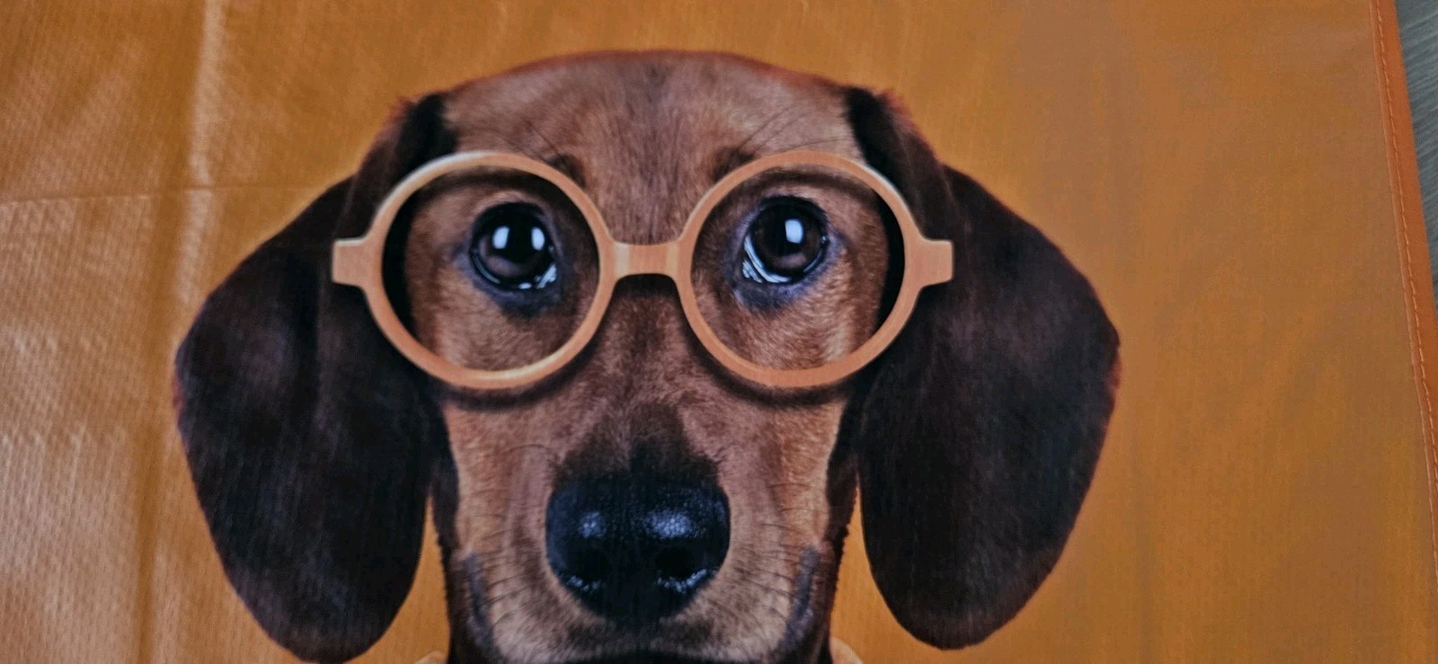 NEW ADORABLE Shopping Bag Orange With Dachshund W/eye glasses,Reusable