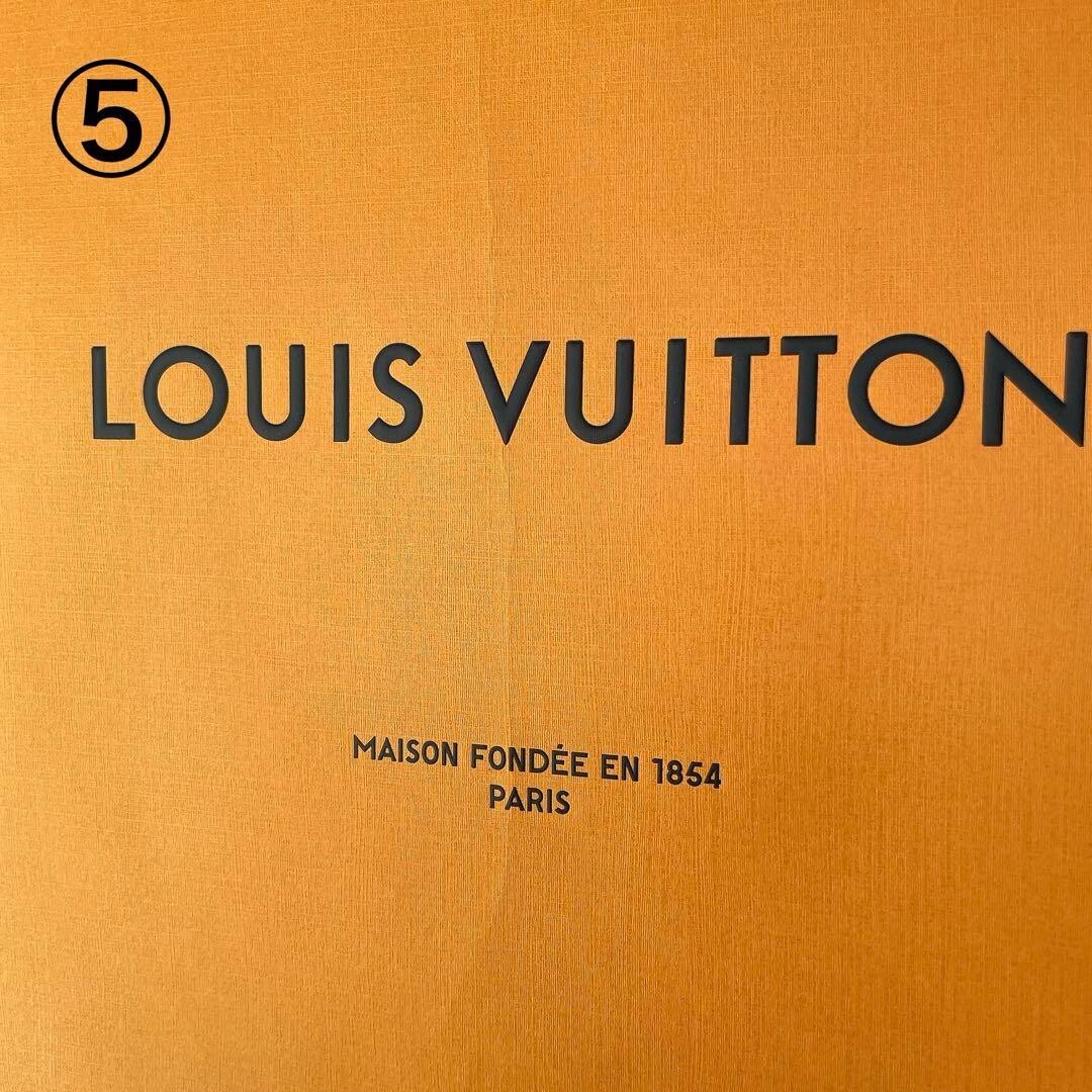 Set of 11-Authentic LOUIS VUITTON Multicolor Limited & Gold Shopping Paper Bags