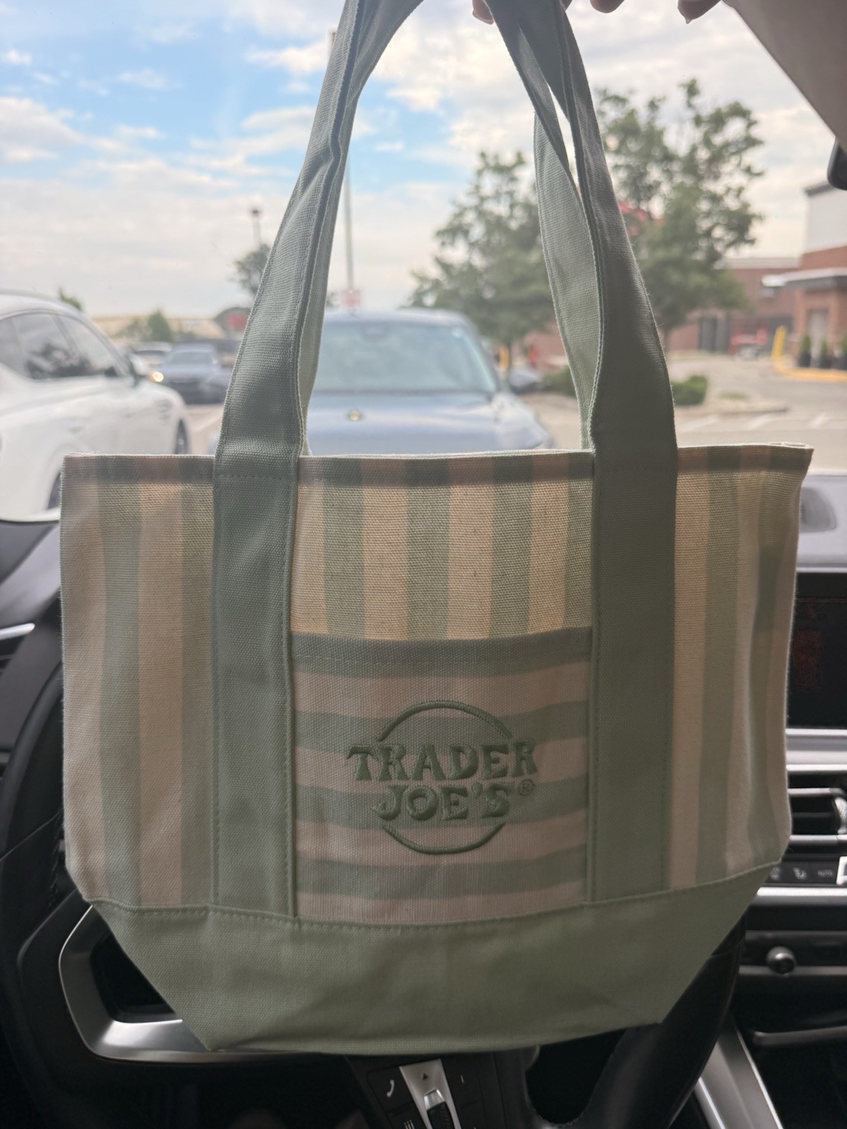 Trader Joe’s Striped Mini Canvas Tote Bag Green/Beige 10x10x10 in New