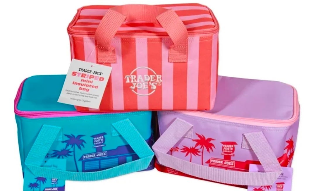 Trader Joe’s Mini Insulated Bag Cooler Striped 1.5 Gal Pick A Color