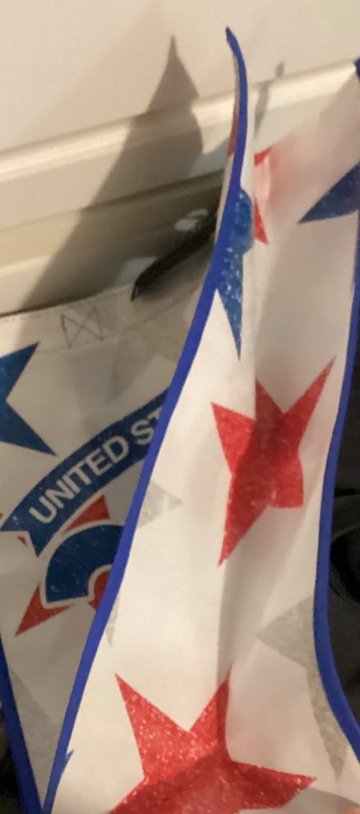Publix United States of America Reusable Shopping Bag 250 Anniversary Stars NWT