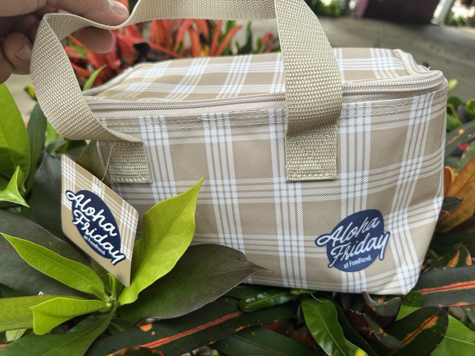 HAWAII EXCLUSIVE FOODLAND KHAKI PALAKA REUSABLE INSULATED LUNCH BAG TOTE NEW
