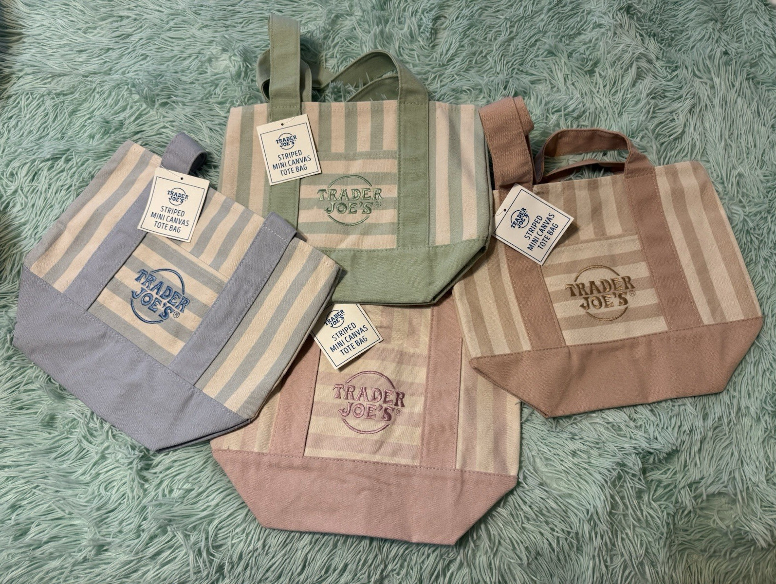 Trader Joe’s Mini Canvas Tote Bag Striped Multicolor 12x10x12 in New