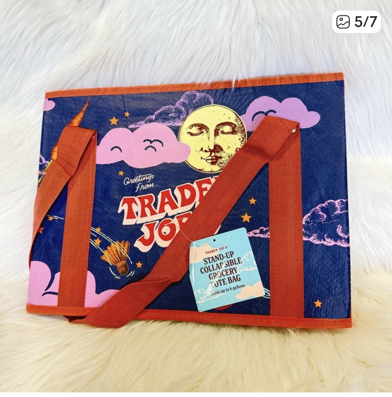trader joes stand up collapsible tote bag