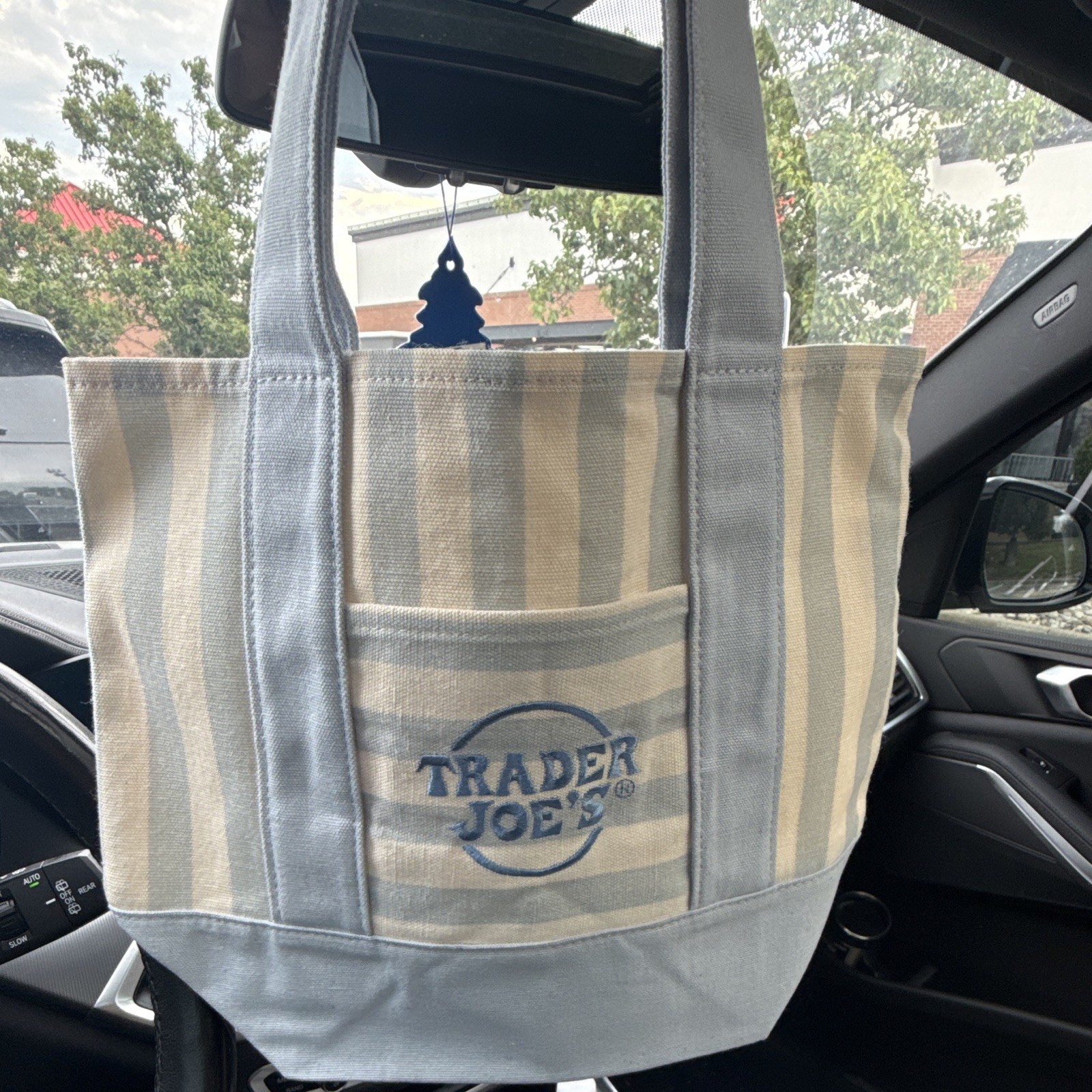 Trader Joe’s Striped Small Canvas Tote Bag Blue/Beige 10x10x10 in New