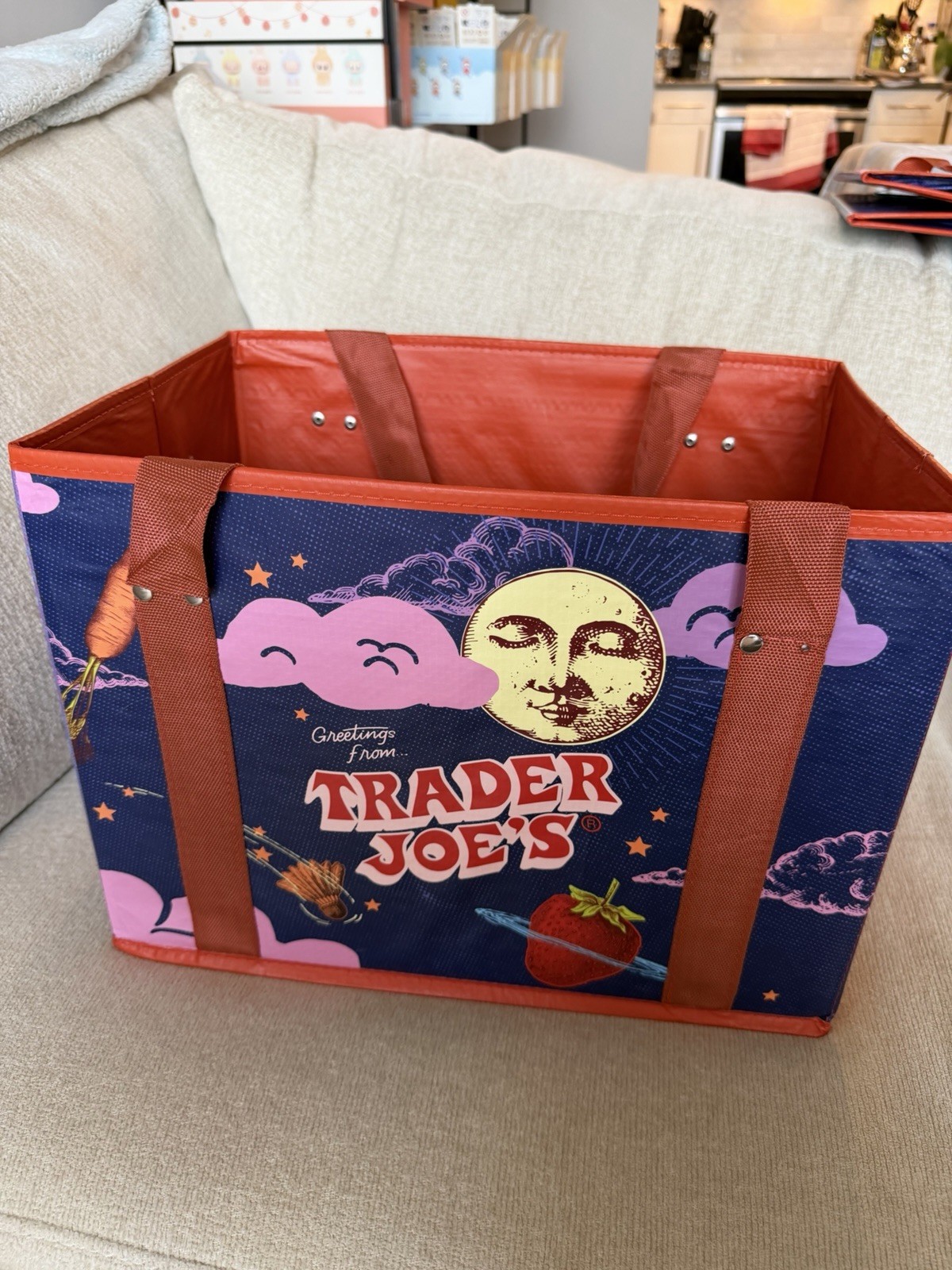Brand New Trader Joe’s Stand-Up Collapsible Tote Bag Moon & Sky Holds 6 Gallons