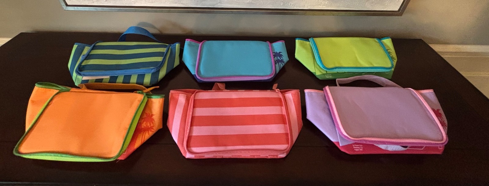 2026 Limited Edition Trader Joes Mini Insulated Bags – Choose Your Color