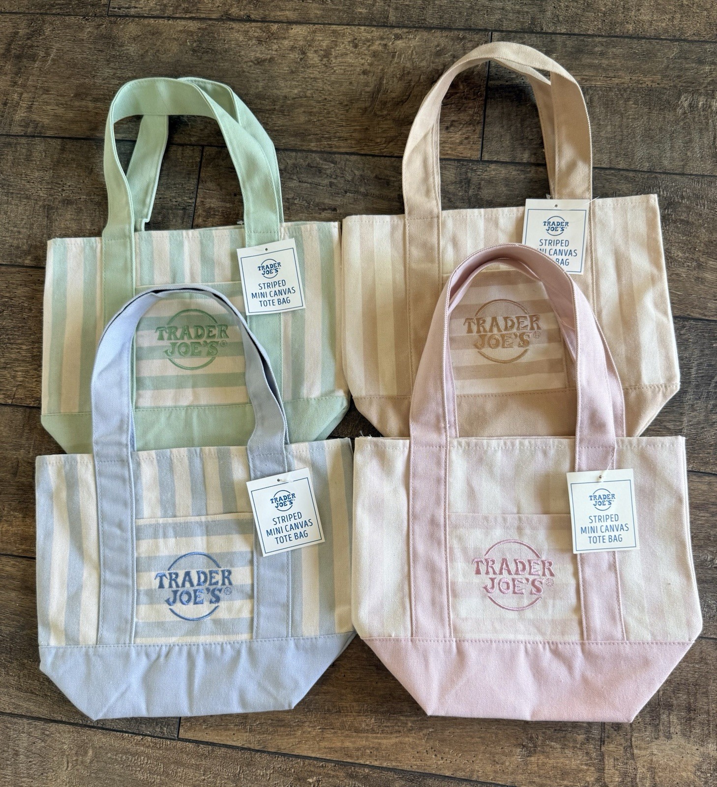 Trader Joe’s Striped Mini Canvas Tote Bag Small 11x13x18 in Multicolor