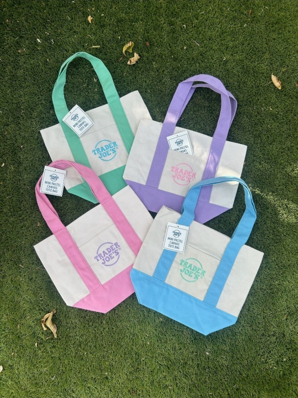 Trader Joe’s Mini Pastel Canvas Tote Bags Set of 4 Blue Pink Purple Green NEW