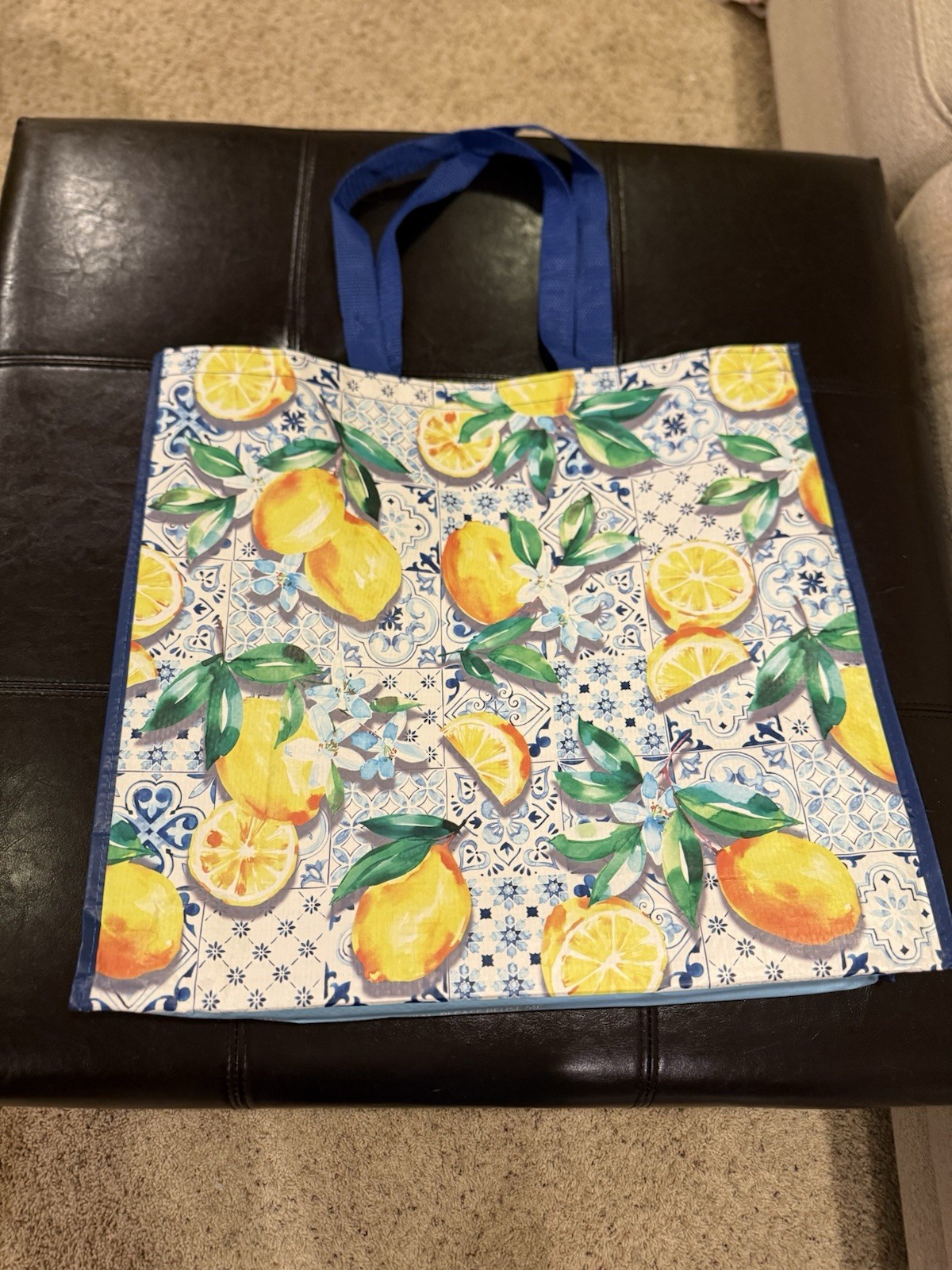 TJMaxx Lemon Blue Yellow Large Reusable Shopping Bag New