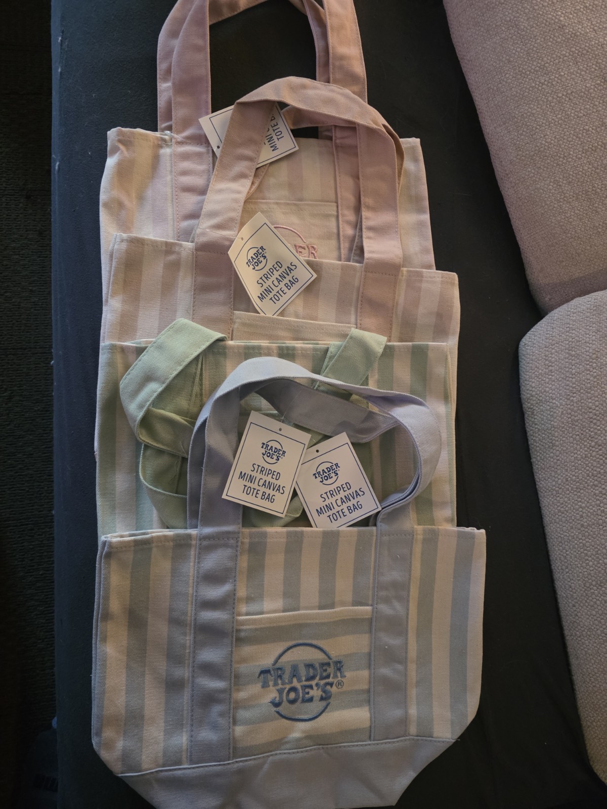 LATEST RELEASE! Trader Joe’s Striped Mini Canvas Tote Bag–Summer 2026 Collection