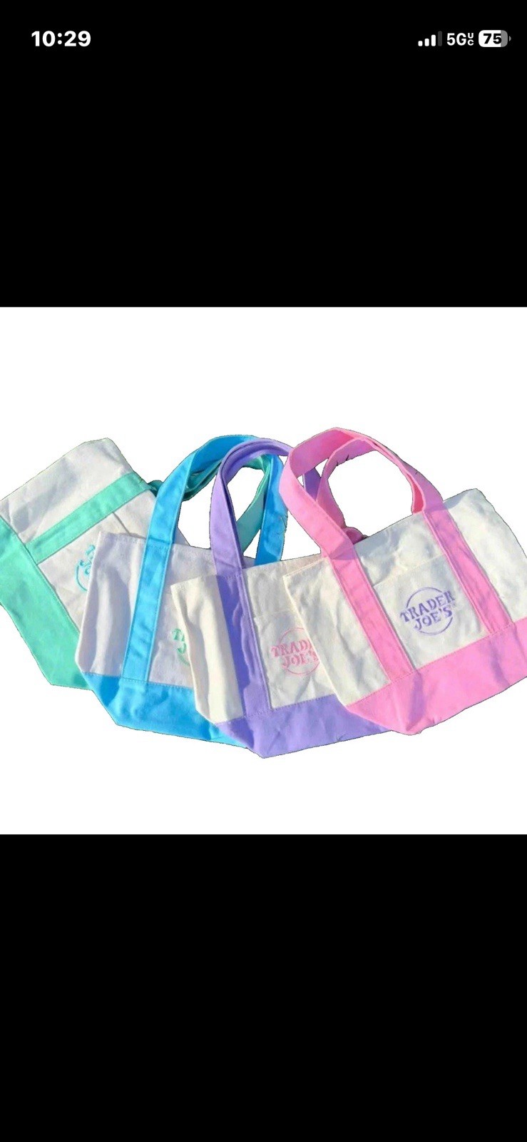Green Trader Joe’s Multicolor Canvas Foldable Tote Bags Colorblock Modern Style