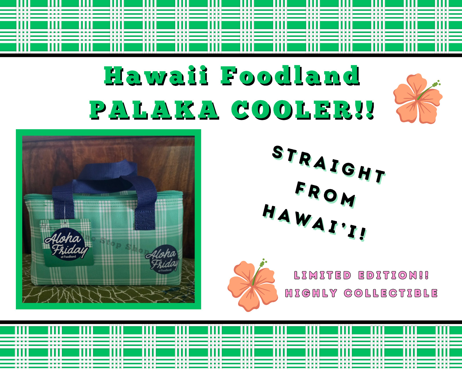 HAWAII FOODLAND GREEN PALAKA REUSABLE INSULATED SCHOOL LUNCH BAG TOTE Beach NEW