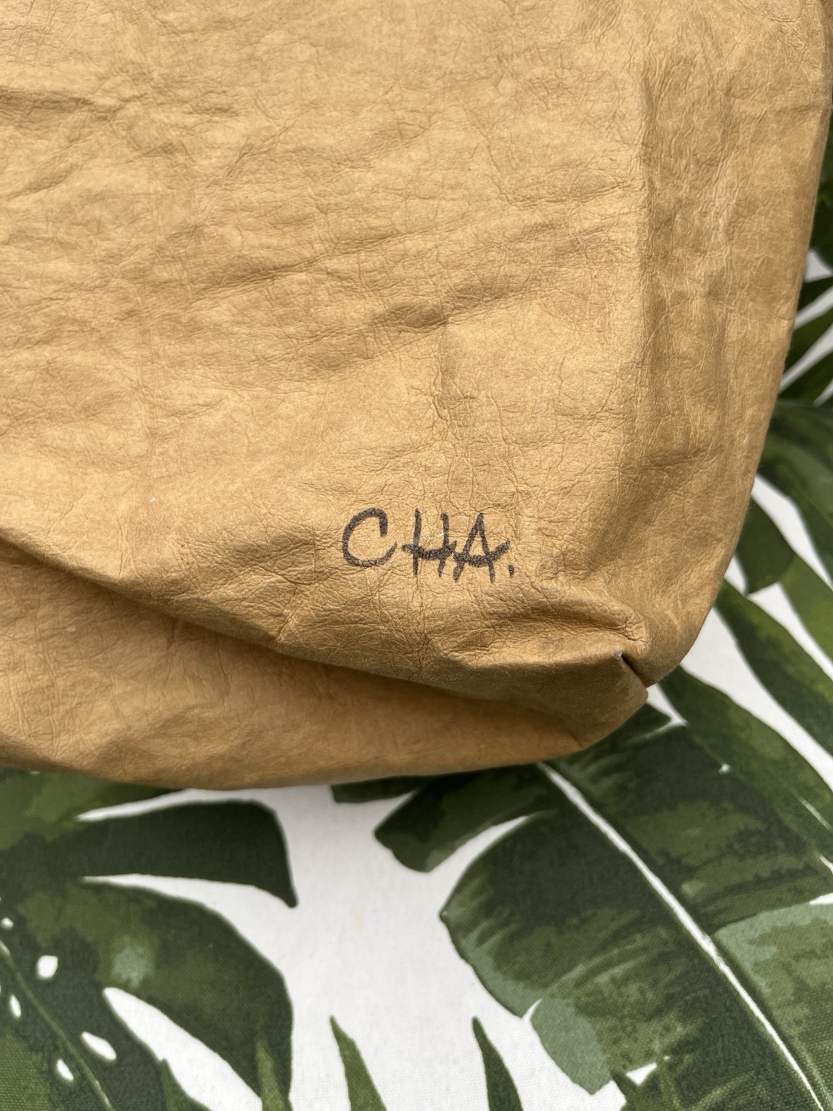 Trader Joe’s Washable Reusable Paper Lunch Bag