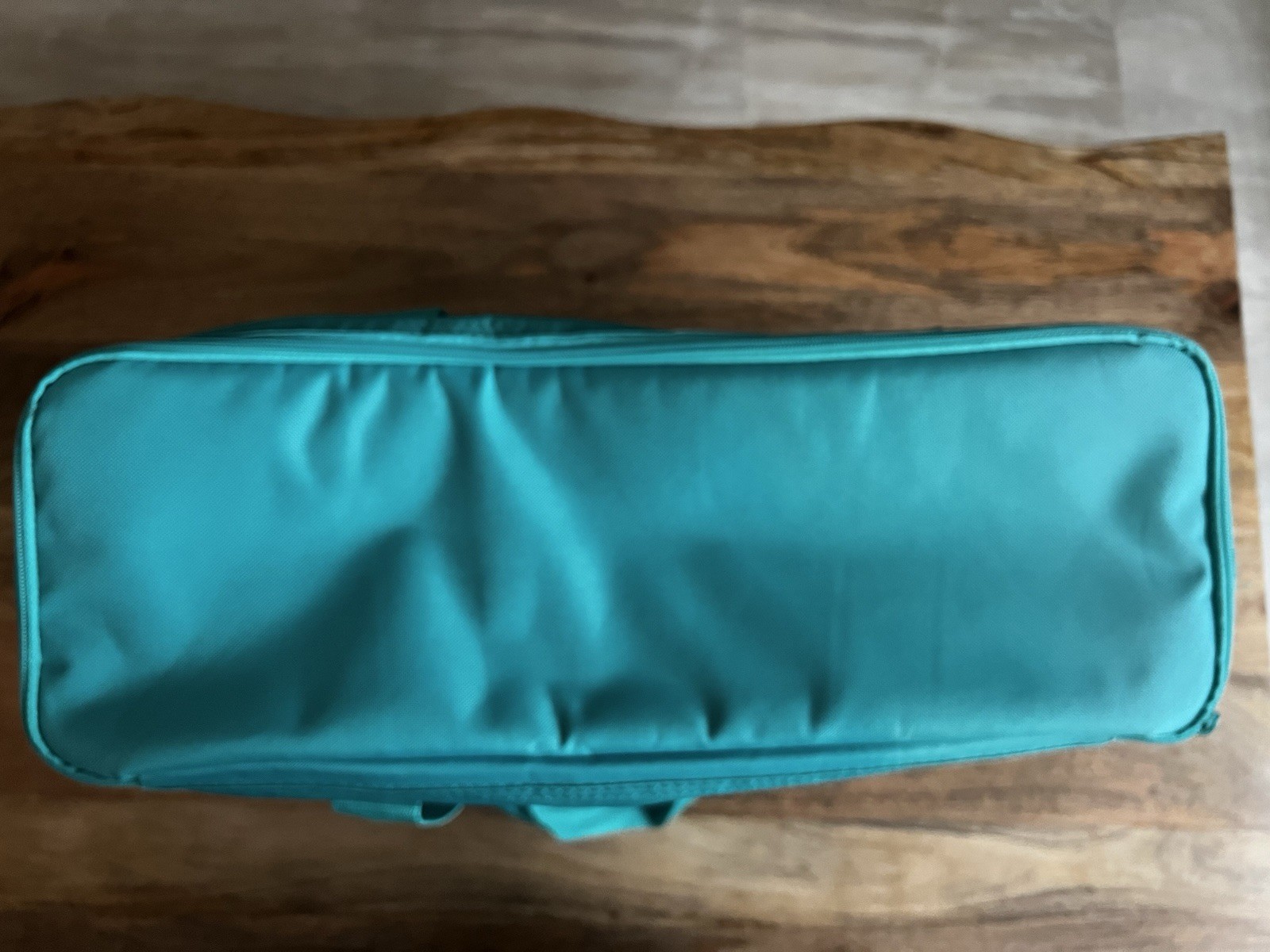 Trader Joes Green Large 8 Gal Reusable Insulated Tote Bag