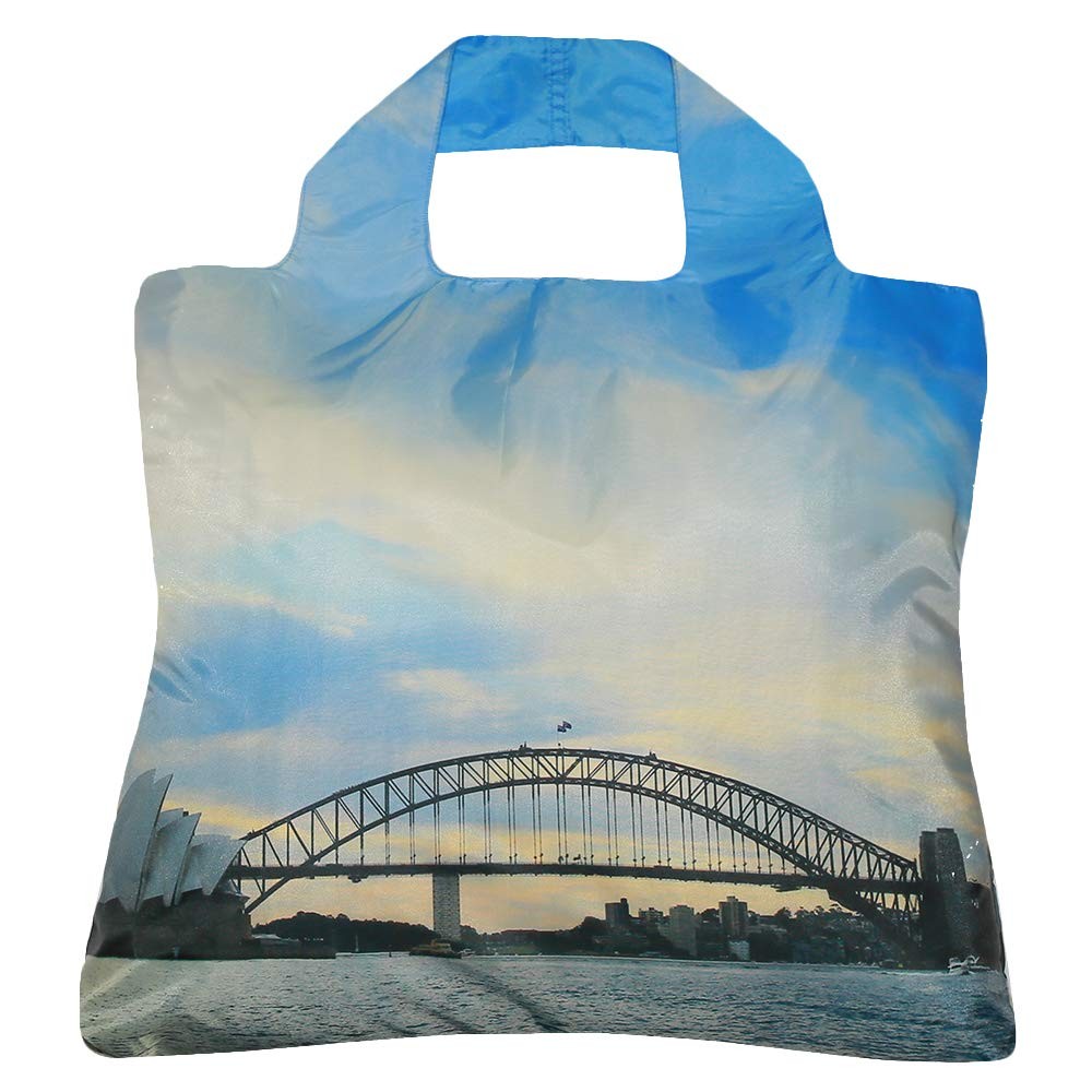 Reusable Grocery Bags, Set of 5, Multicolored Travelling, TP Series