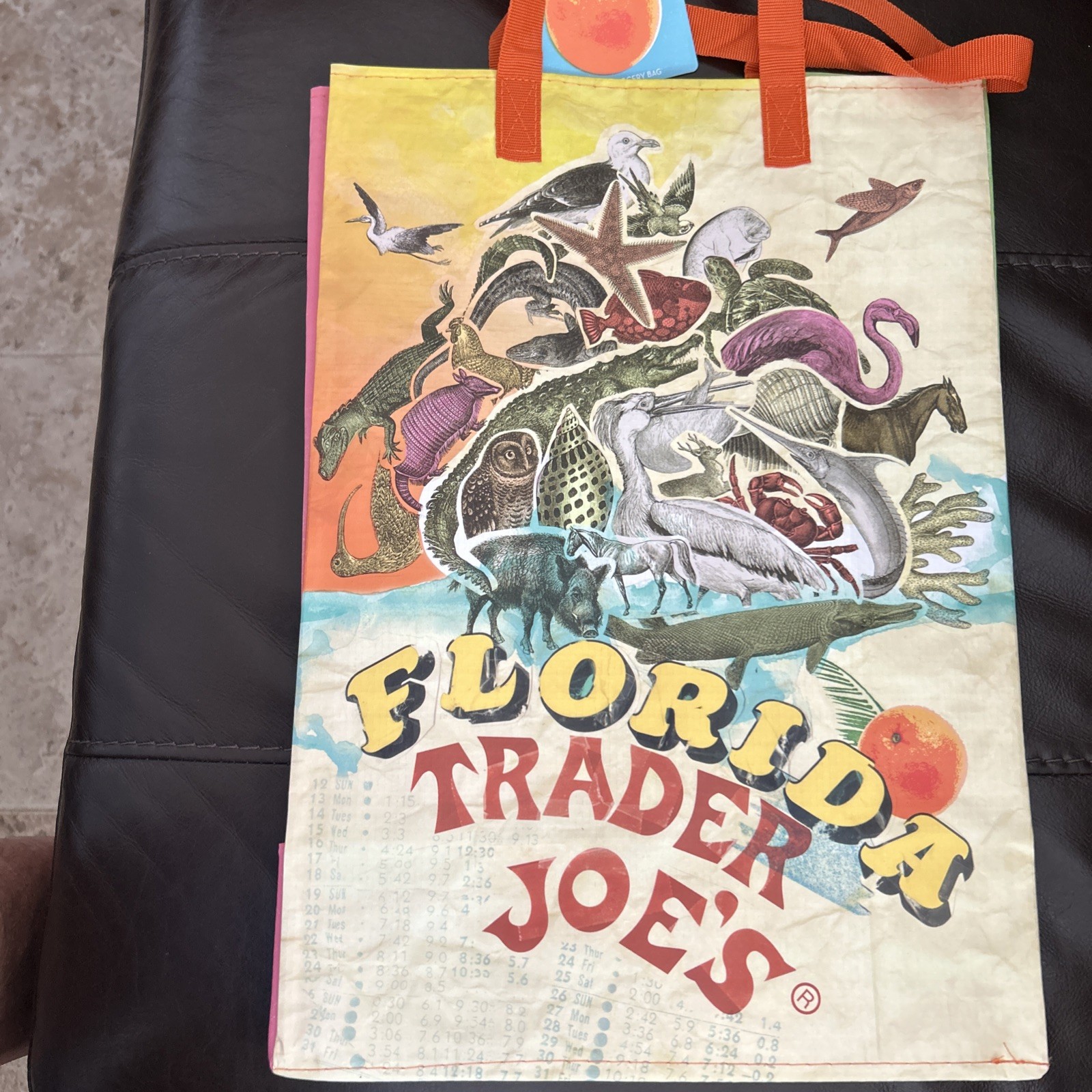 New Trader Joe’s Reusable Grocery Bag, Florida Theme, 6 Gallons Capacity